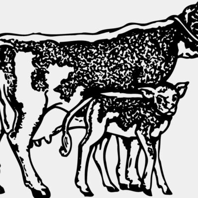 COW032 Thumbnail