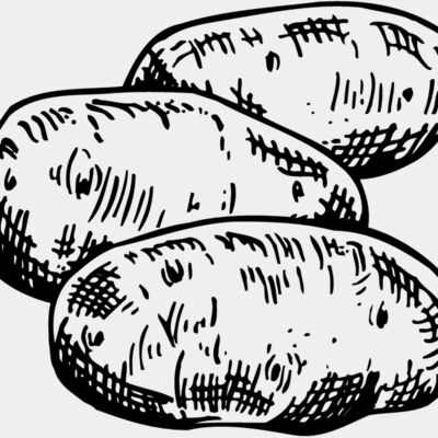 VEG013 Thumbnail