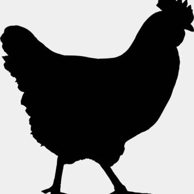 Chicken   Clipart 1 Thumbnail