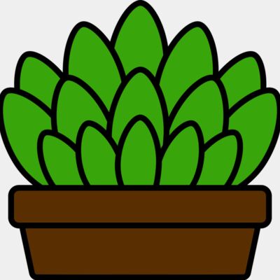 Succulent Plant Thumbnail