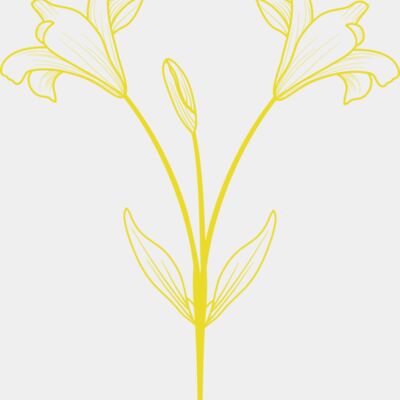 Flowers 9 Thumbnail