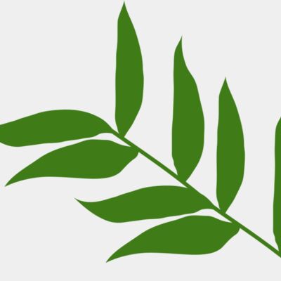 Leaves 5 Thumbnail